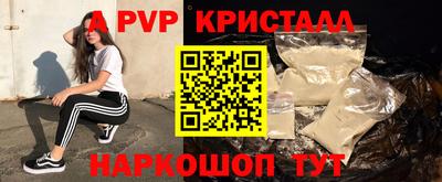 СК Гагарин
