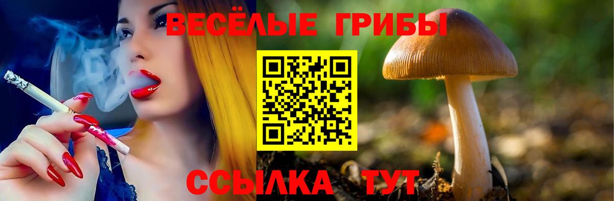 Карпинск  Галлюциногенные грибы ЛСД  Вход с VPN 